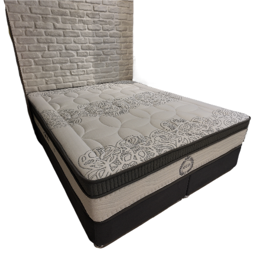 تشک اکو مدل الایو