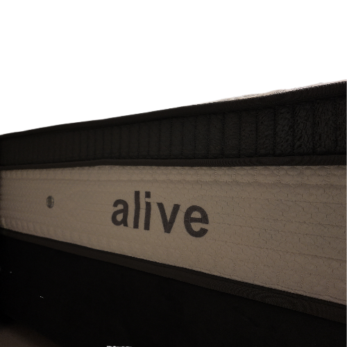 تشک اکو مدل الایو - Image 4