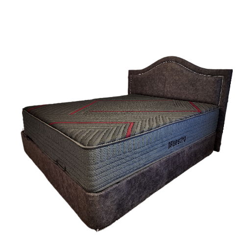 تشک اکو مدل مسترو