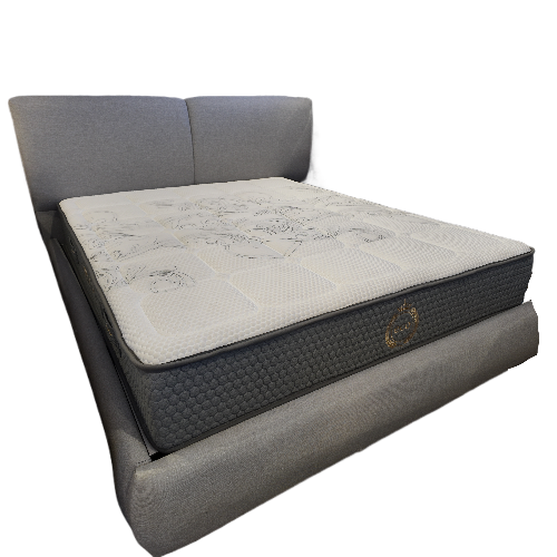 تشک اکو مدل مدیکال